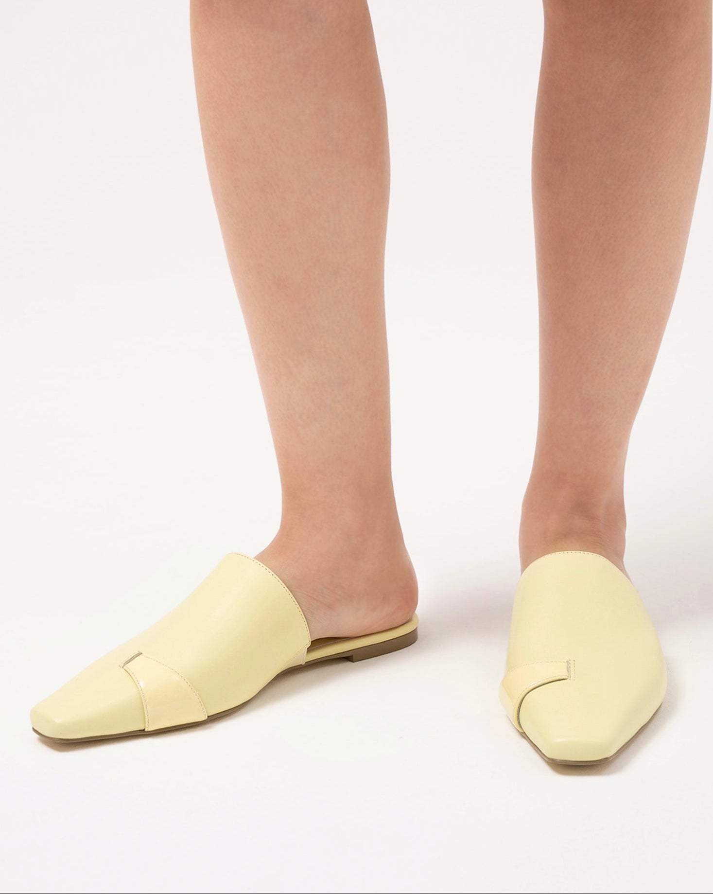 Lama yellow mule